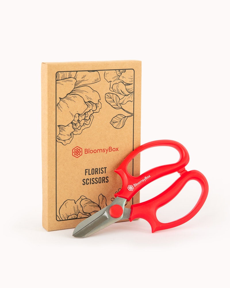 Red-handled florist scissors with sharp stainless steel blades leaning against a cardboard box labeled 'BloomsyBox Florist Scissors' with floral illustrations on a white background.