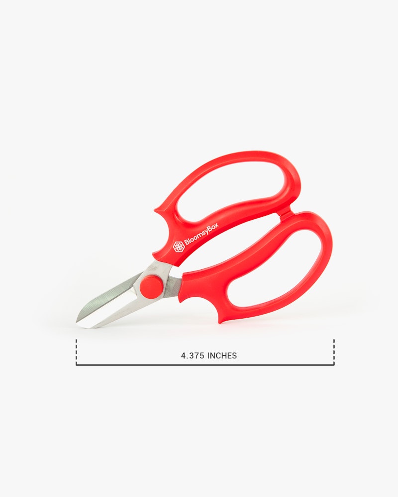 Red-handled kitchen scissors with a 4.375-inch measurement guide, isolated on a white background, demonstrating the product size and design.