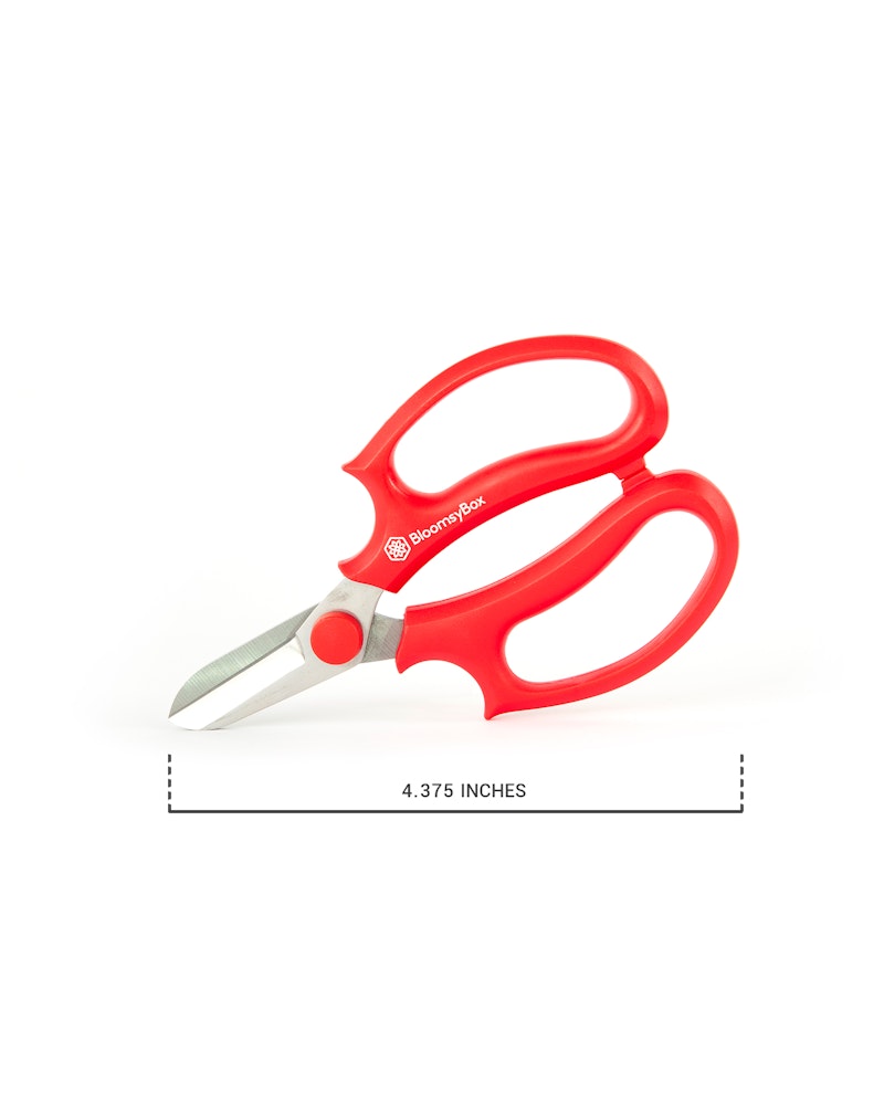 Red kitchen scissors with ergonomic handles and stainless steel blades, measuring 4.375 inches, isolated on a white background.