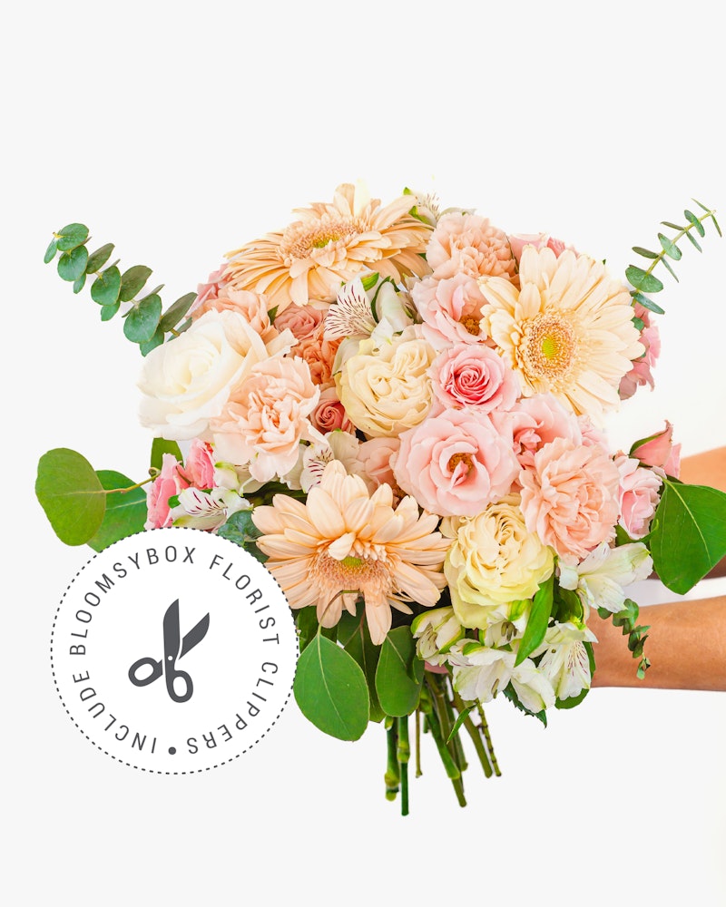 A vibrant bouquet of mixed flowers including roses, gerberas, and carnations in shades of pink and white, cradled in a person's arms against a white background.