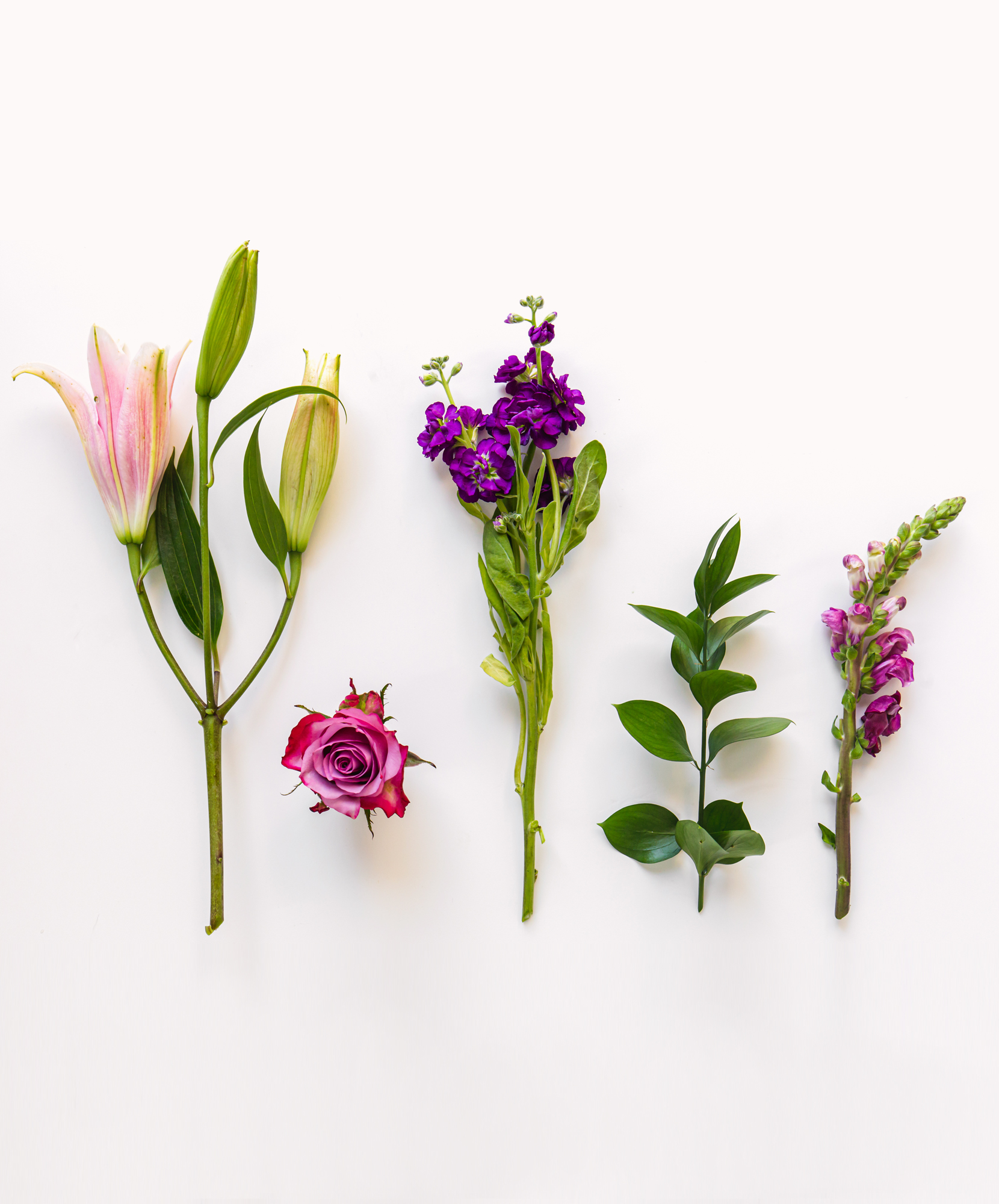 Royalty | BloomsyBox