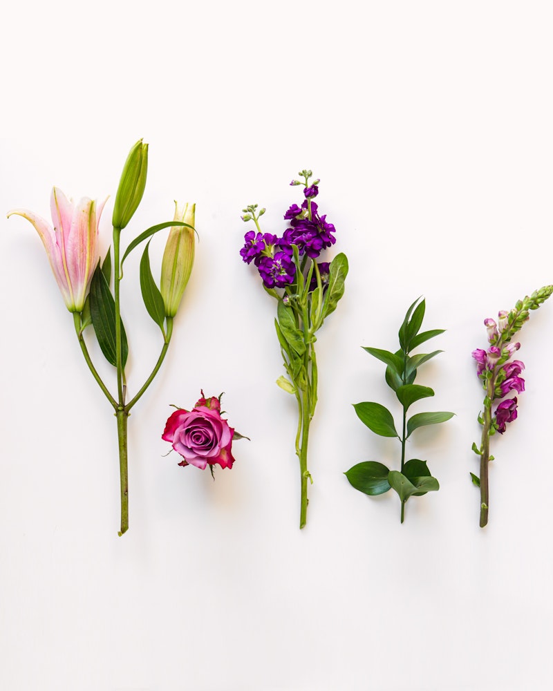 Assorted fresh flowers including a pink lily, a pink rose, and purple blooms arranged neatly on a white background, creating a clean and vibrant botanical display.