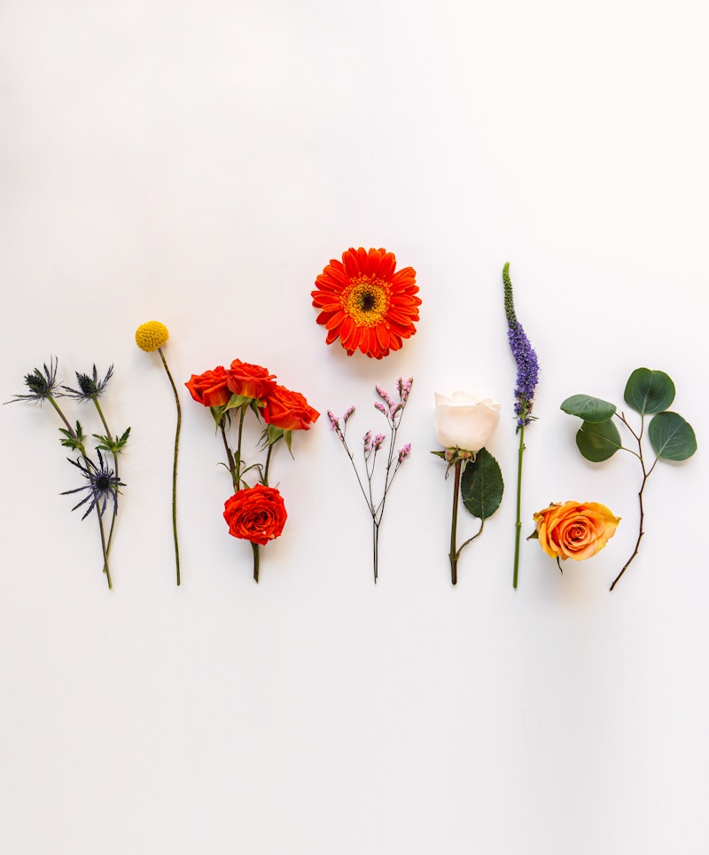 Assorted flowers including a gerbera, roses, and lavender neatly arranged in a row against a clean white background, showcasing various colors and textures.