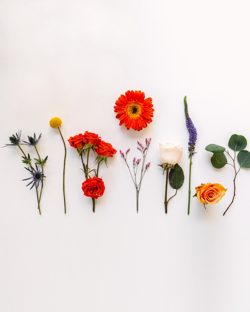 Assorted flowers including a gerbera, roses, and lavender neatly arranged in a row against a clean white background, showcasing various colors and textures.