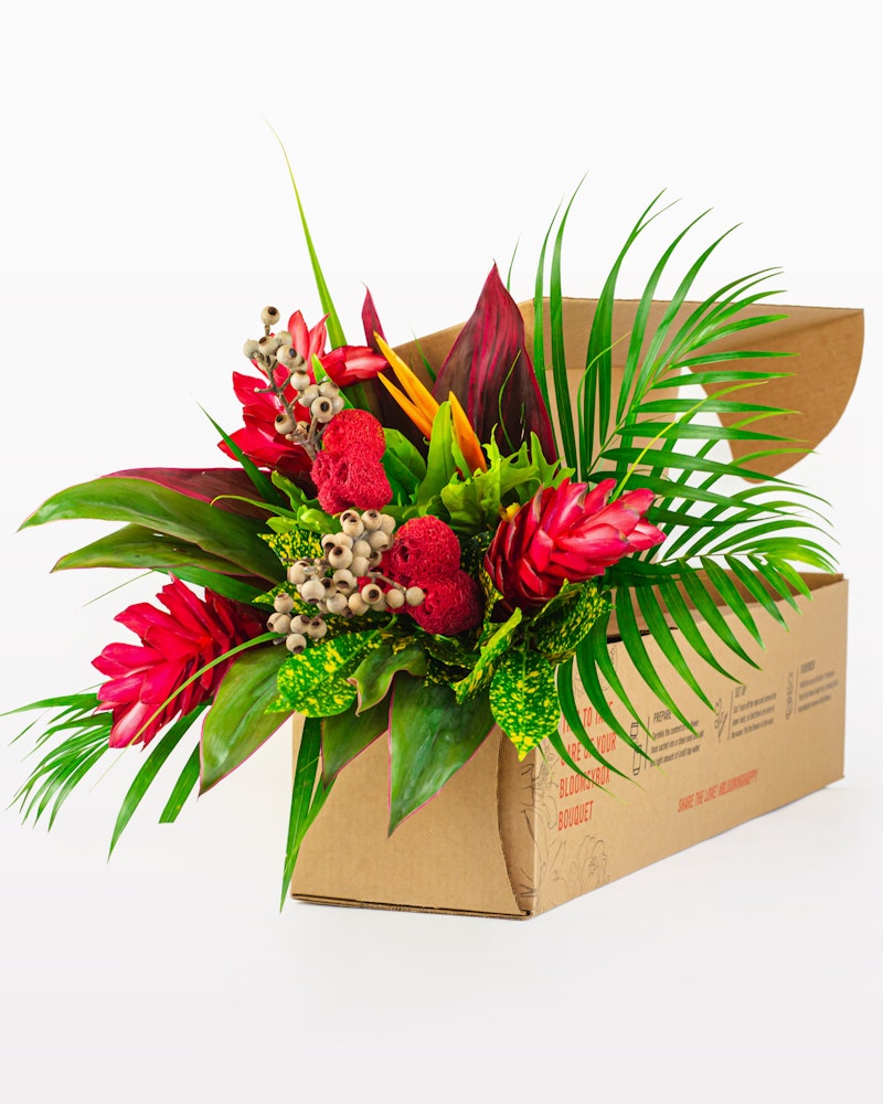 Vibrant tropical bouquet with red ginger flowers and lush greenery in a cardboard flower box, ready for delivery or gifting, against a white background.