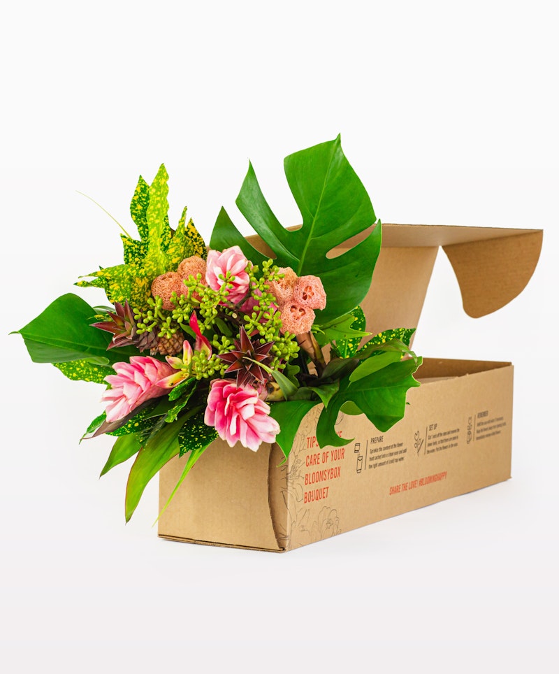 Fresh floral bouquet with pink and green blooms and large leaves packaged in a brown cardboard box, ready for delivery, isolated on a white background.