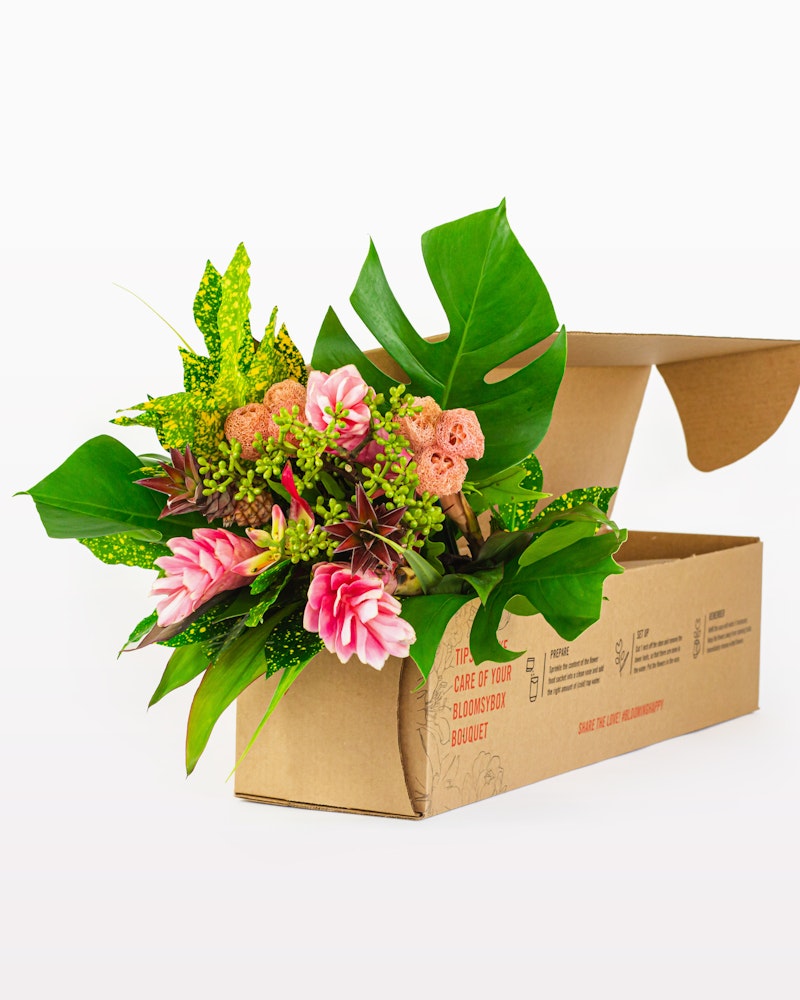 Fresh floral bouquet with pink and green blooms and large leaves packaged in a brown cardboard box, ready for delivery, isolated on a white background.
