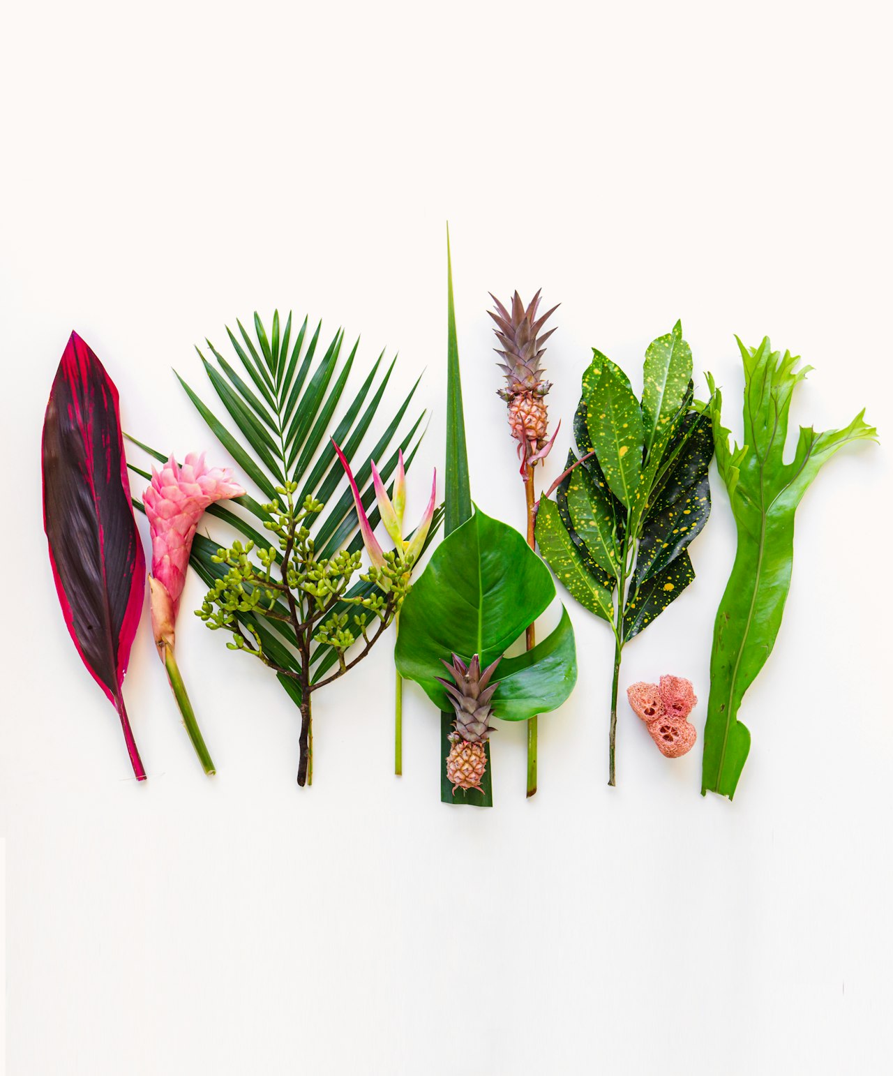 Colorful assortment of tropical leaves and flowers arranged artistically on a light background.