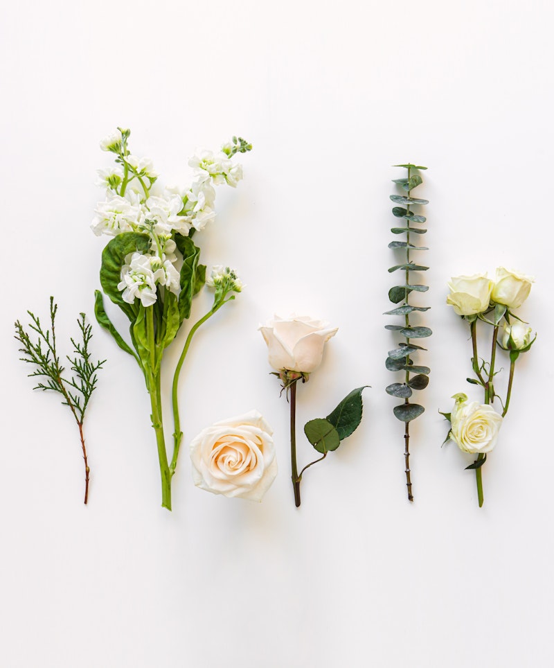 Various types of fresh flowers and greenery neatly arranged on a white background, including white roses, snapdragons, eucalyptus, and assorted foliage.