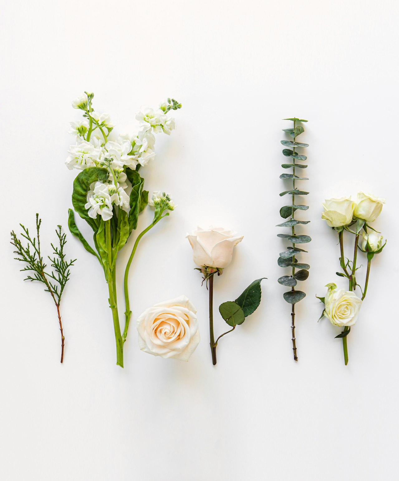 A beautiful assortment of white flowers and greenery laid out artistically on a light background.