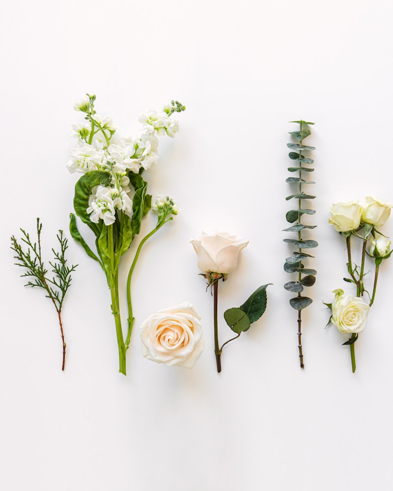 Various types of fresh flowers and greenery neatly arranged on a white background, including white roses, snapdragons, eucalyptus, and assorted foliage.