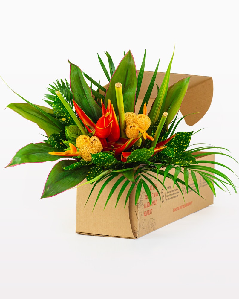 Vibrant tropical flower arrangement with red heliconia, yellow sponge mushrooms, and lush green leaves in a cardboard box against a white background.