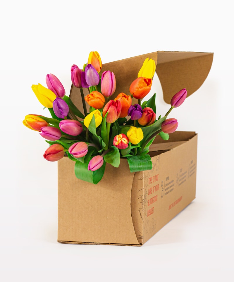 Bright colorful tulips in various shades of pink, purple, yellow, and orange spilling out of a cardboard box against a white background.