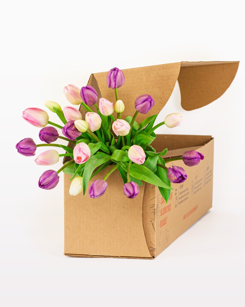 Bouquet of fresh purple and white tulips emerging from a brown cardboard delivery box on a clean white background, highlighting a flower delivery service concept.
