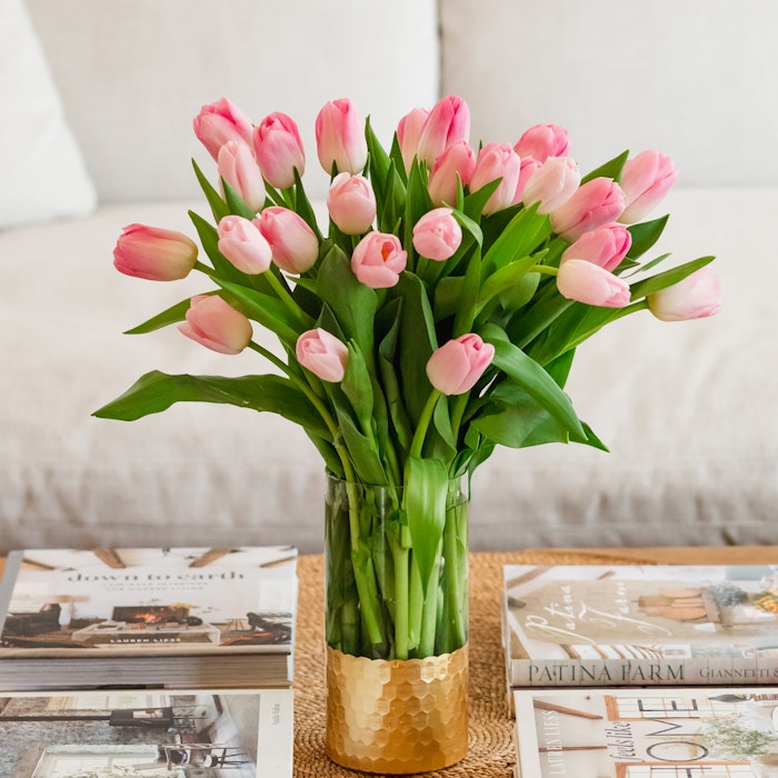 princess-pink-tulip