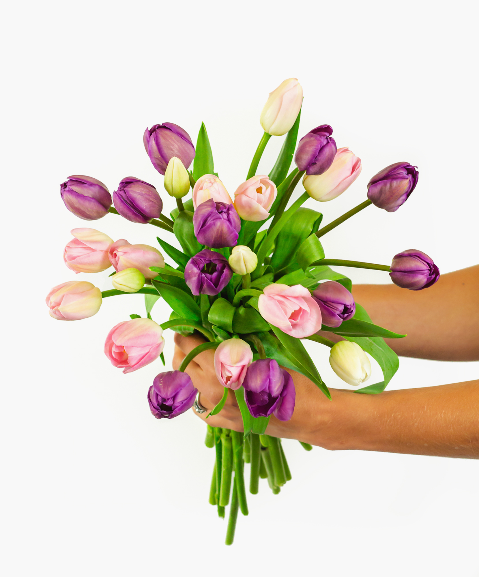 Tulips Tulip Bouquet Tulip Flower Flower Delivery