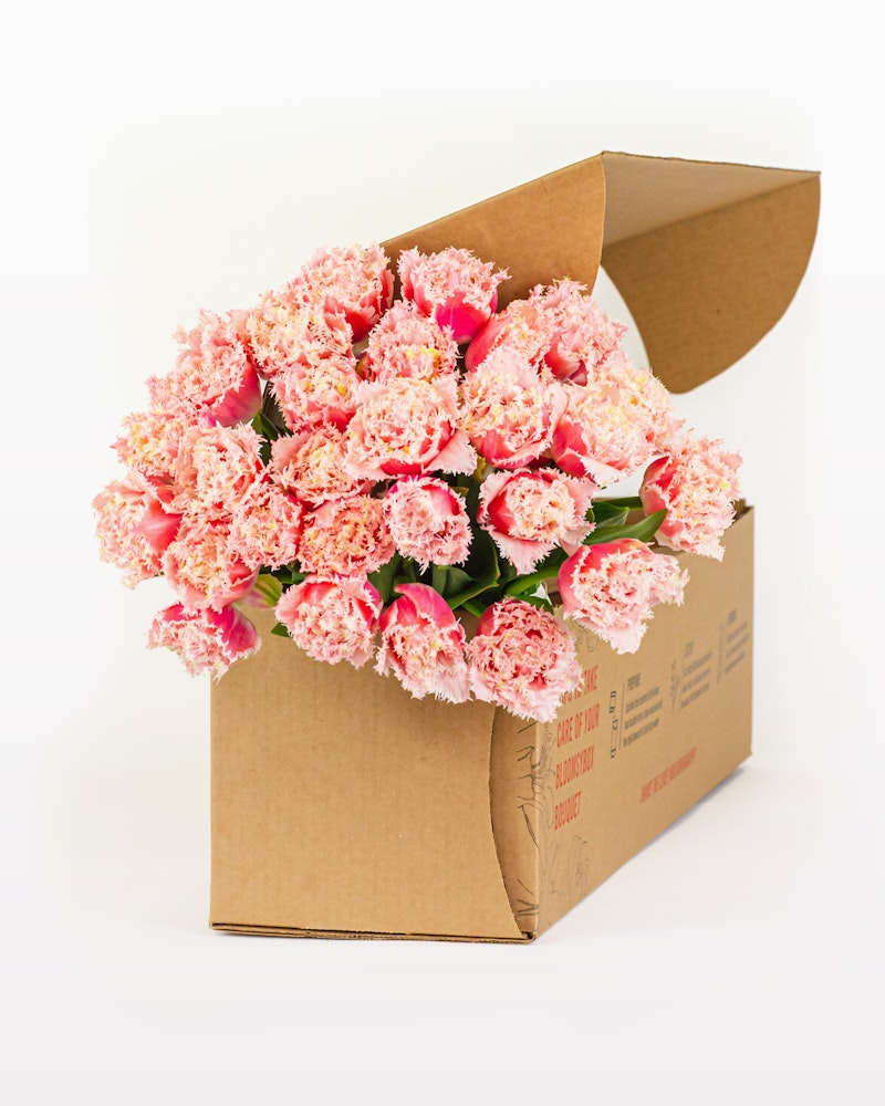 A large bouquet of pink carnations with frilled petals spilling out of a cardboard delivery box against a white background, symbolizing a floral gift or subscription service.