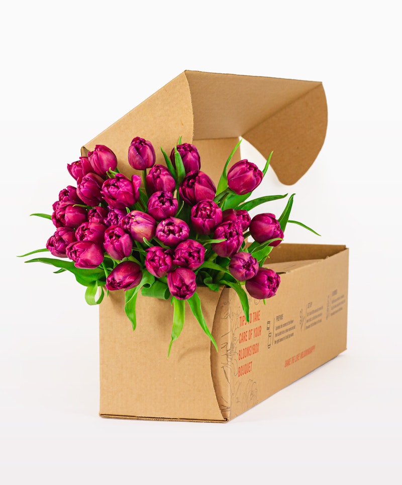 A vibrant bouquet of purple tulips spilling out of an open cardboard box against a white background, showcasing fresh flower delivery service.