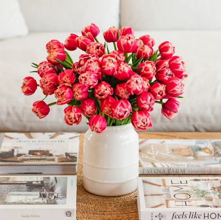 Vibrant bouquet of coral tulips in a white vase, enhancing a cozy living space.