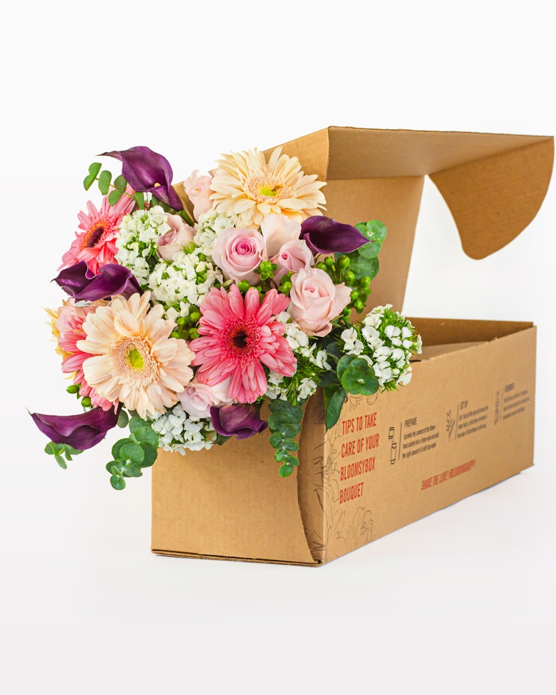 Bouquet of fresh flowers with pink roses, white gerberas, and green foliage emerging from a cardboard delivery box with care instructions printed on the side.