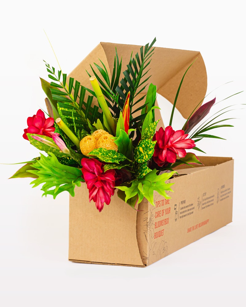 Colorful bouquet with red flowers and green foliage emerging from a brown cardboard box against a white background, symbolizing a floral delivery service.