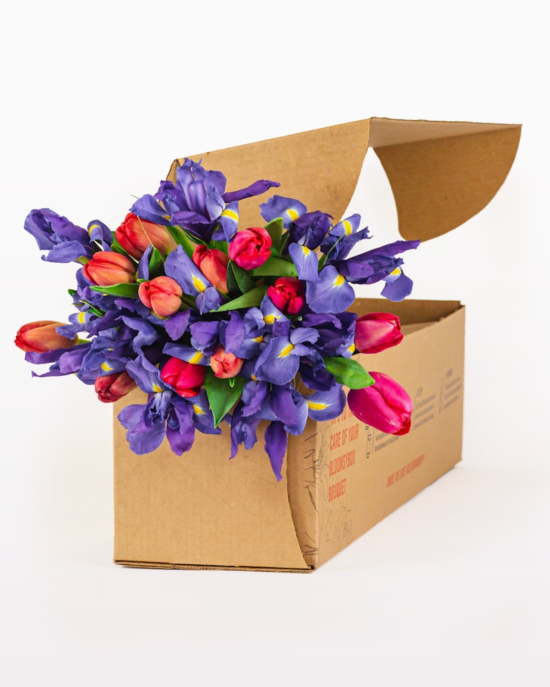 Vibrant tulips and purple flowers arranged in a cardboard box with the lid open, indicating a fresh delivery of a floral bouquet against a white background.