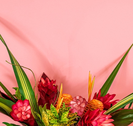 Vibrant tropical flower arrangement featuring red and orange blooms against a soft pink backdrop.