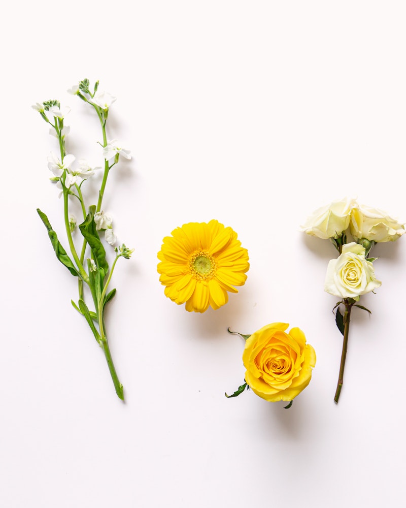 A vibrant yellow gerbera, delicate white roses, and elegant small white flowers arranged on a pure white background, creating a fresh and minimalist floral display.