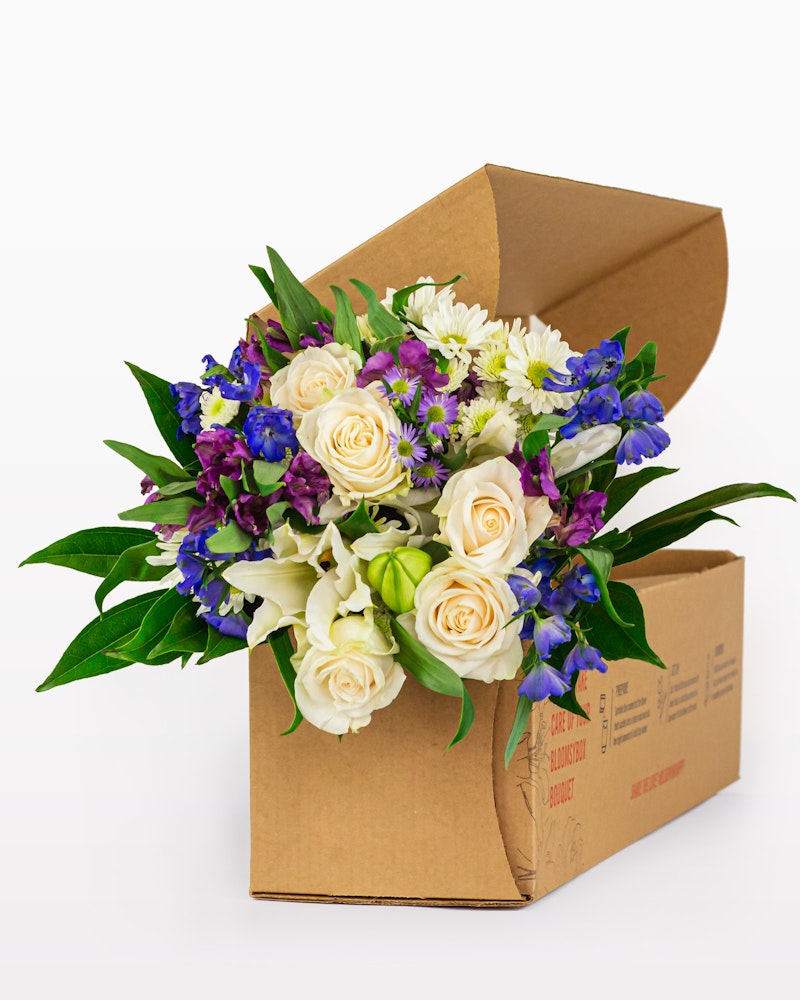 Vibrant bouquet of white roses and purple flowers emerging from a cardboard delivery box against a clear white background, showcasing fresh floral delivery service.