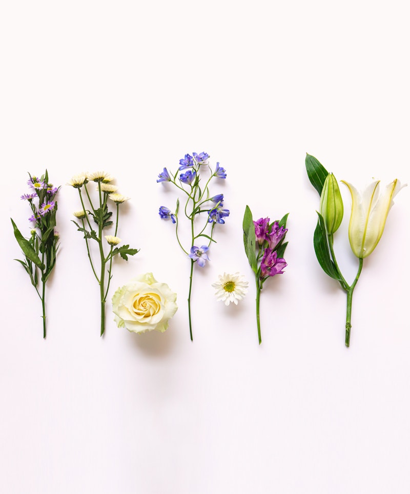 Assortment of fresh flowers laid out in a row on a white background, including a white rose, daisies, and lilies, with a focus on their natural beauty.