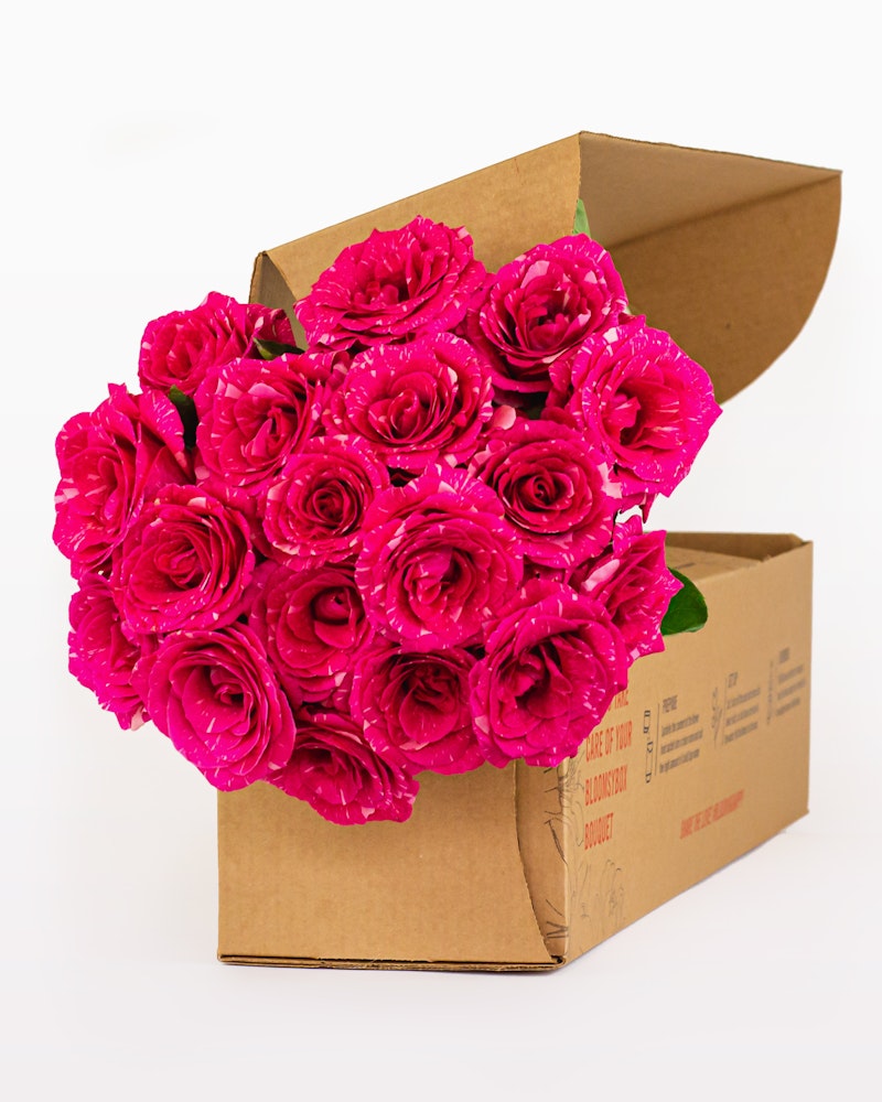 Vibrant bouquet of pink roses bursting out from a cardboard delivery box against a white background, symbolizing a surprise gift or online floral delivery.