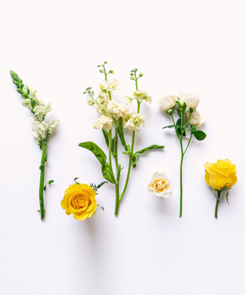 Assorted fresh flowers including white snapdragon, stock flowers, creamy roses, and vibrant yellow roses neatly arranged in a row on a white background.