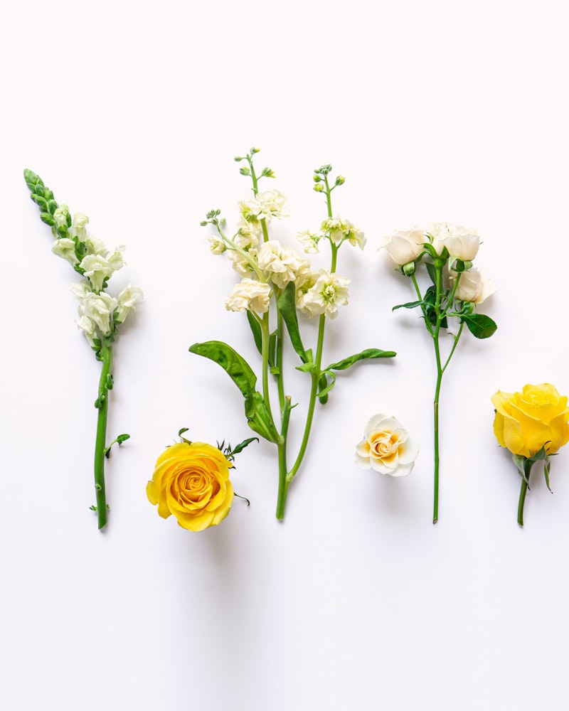 Assorted fresh flowers including white snapdragon, stock flowers, creamy roses, and vibrant yellow roses neatly arranged in a row on a white background.
