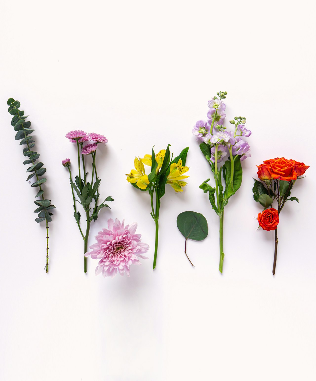 Colorful assortment of fresh flowers including roses, daisies, and eucalyptus on a white backdrop.