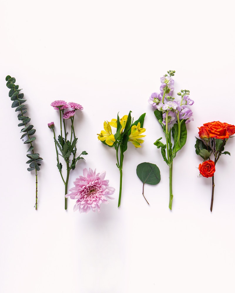 A colorful array of individual flowers laid out on a white background, featuring species such as eucalyptus, pink carnation, yellow lilies, lavender, and a red rose.