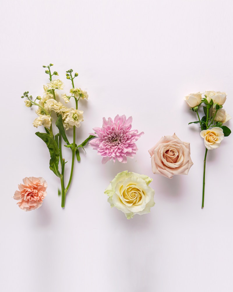 An assortment of delicate flowers, including blush pink carnations, a vibrant pink chrysanthemum, and elegant cream roses, artistically arranged on a pale background.