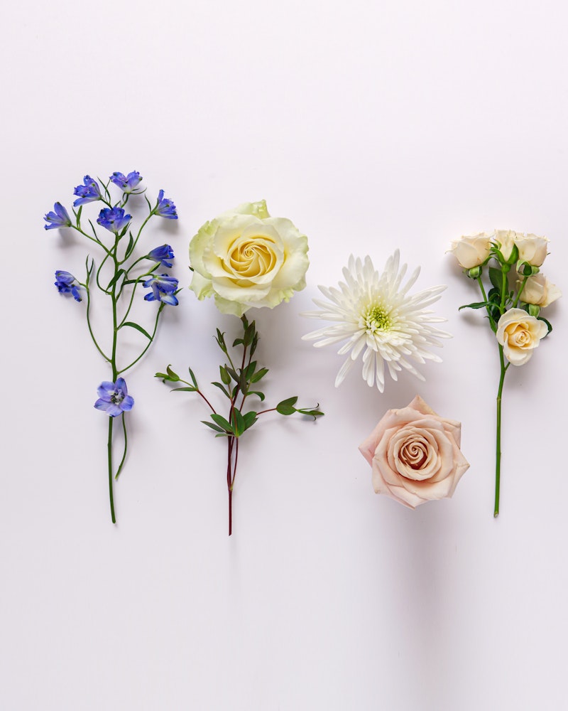 A variety of delicate flowers including bluebells, a creamy rose, a white chrysanthemum, and pale roses laid out in an aesthetically pleasing arrangement on a white background.