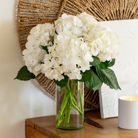 A beautiful arrangement of white hydrangeas in a glass vase, complemented by lush green leaves.