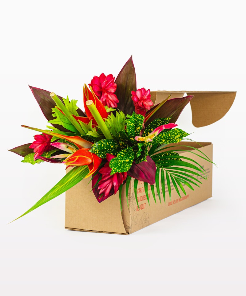 Vibrant tropical flower arrangement with red ginger, green foliage, and orange blooms emerging from a cardboard delivery box against a white background.