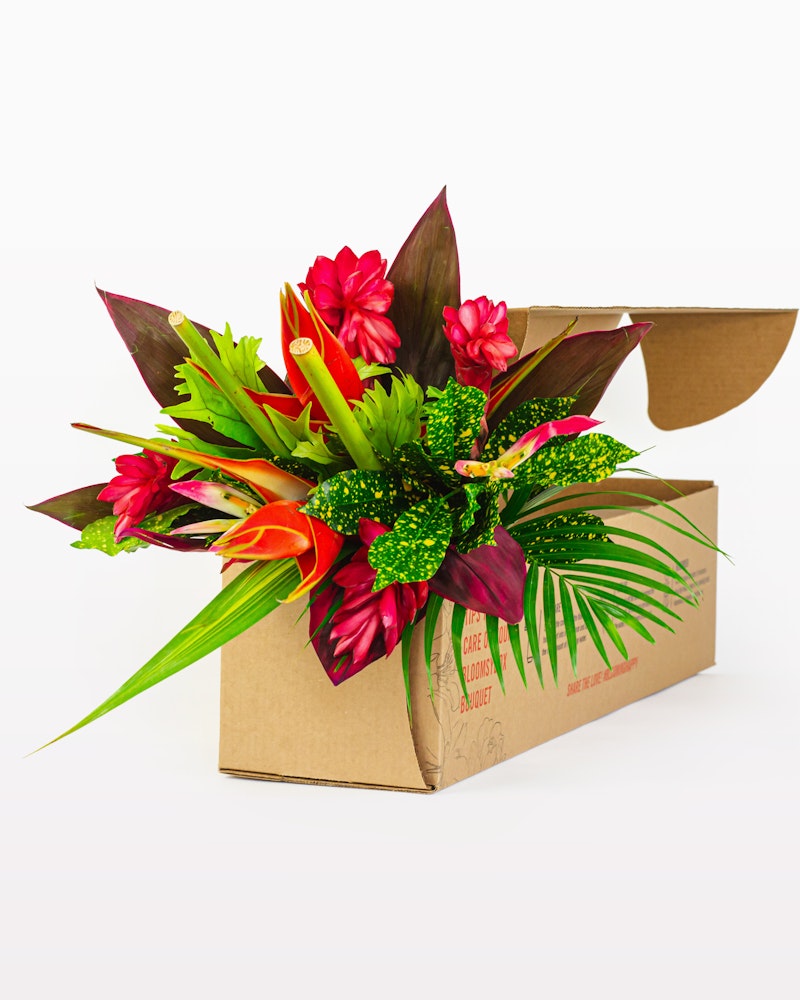 Vibrant tropical flower arrangement with red ginger, green foliage, and orange blooms emerging from a cardboard delivery box against a white background.