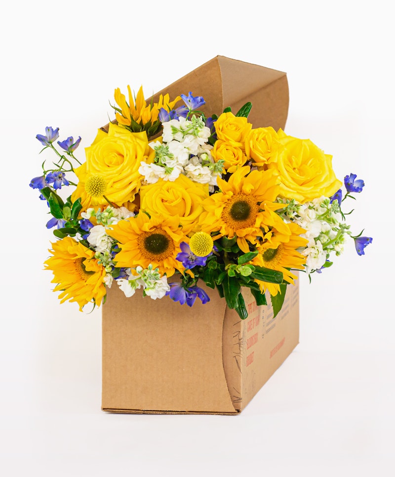 Vibrant bouquet of yellow sunflowers, white blossoms, and blue flowers arranged in a cardboard box, ready for delivery against a white background.