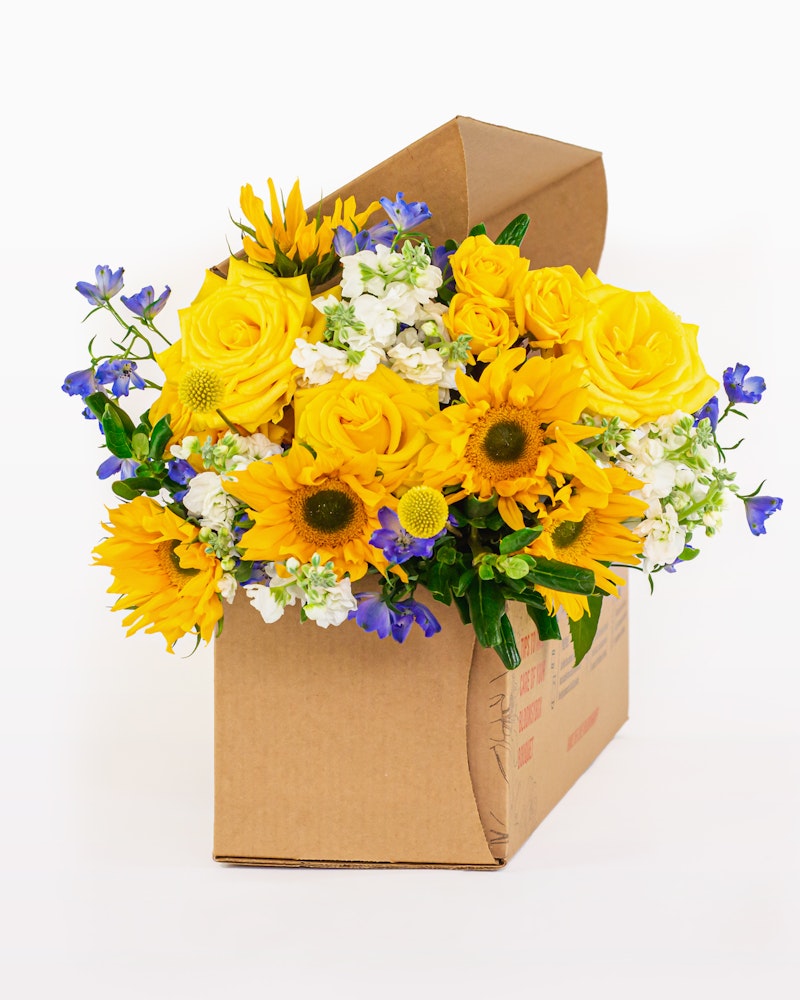 Vibrant bouquet of yellow sunflowers, white blossoms, and blue flowers arranged in a cardboard box, ready for delivery against a white background.
