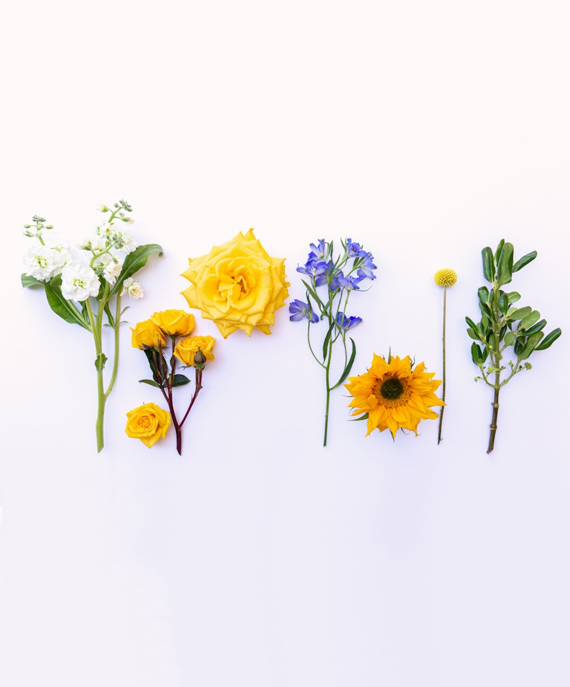 A vibrant selection of various flowers, including white blossoms, yellow roses, blue wildflowers, a sunflower, and greenery, neatly arranged in a row on a white background.