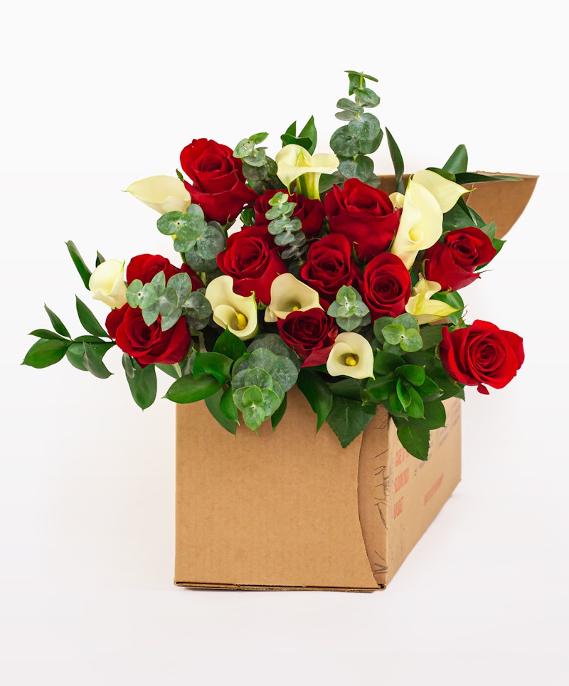 Vibrant bouquet of red roses & white lilies spilling from a cardboard box, against a white background, symbolizing a surprise floral delivery.
