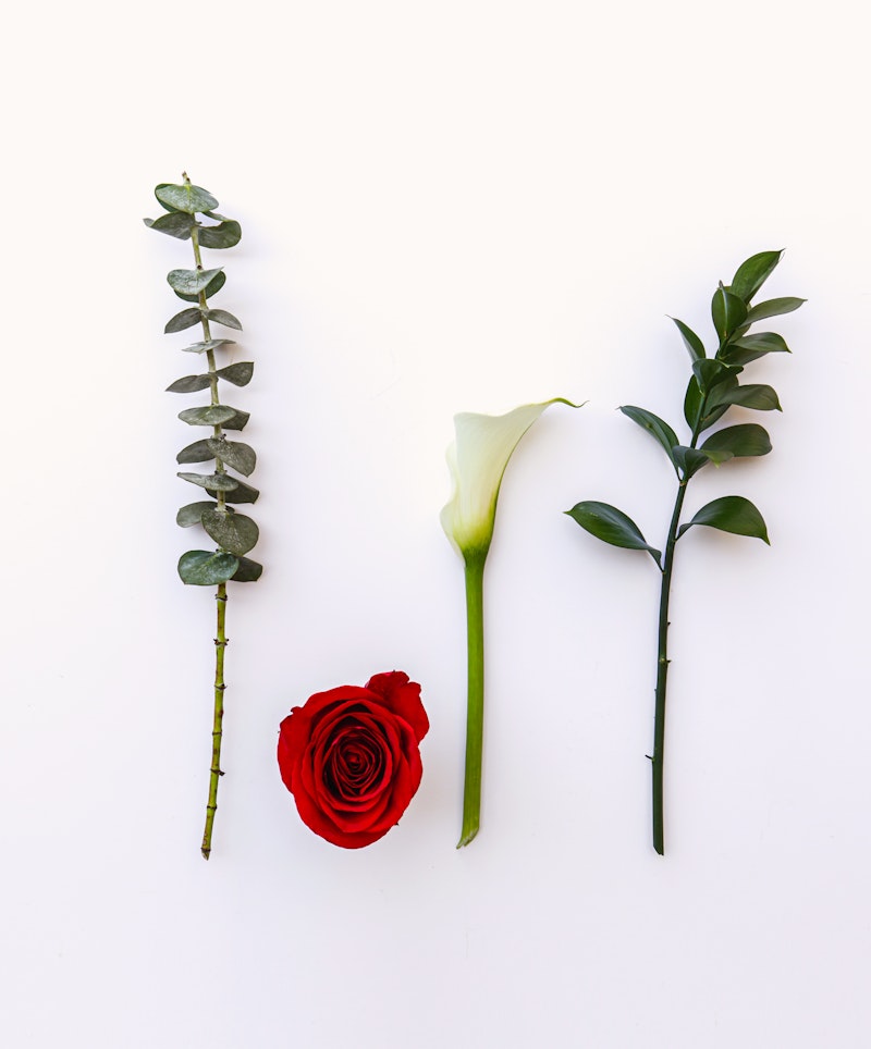 A vibrant red rose, an elegant white calla lily, a branch of eucalyptus, and a stem with green leaves arranged neatly and symmetrically on a white background.