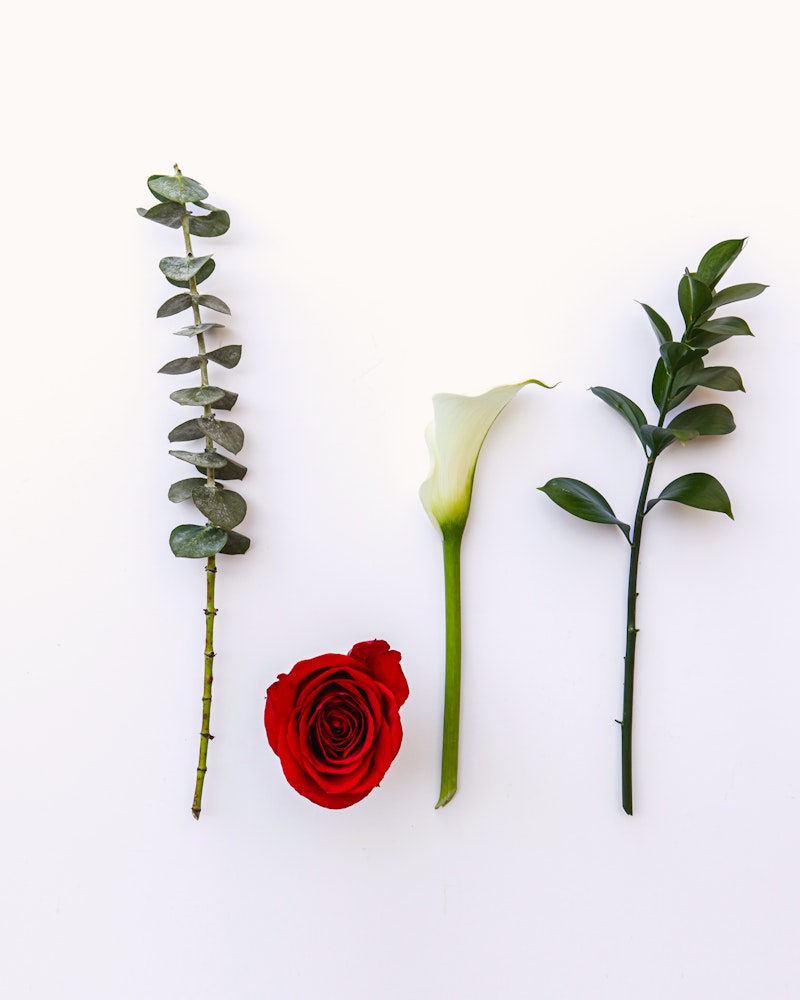A vibrant red rose, an elegant white calla lily, a branch of eucalyptus, and a stem with green leaves arranged neatly and symmetrically on a white background.