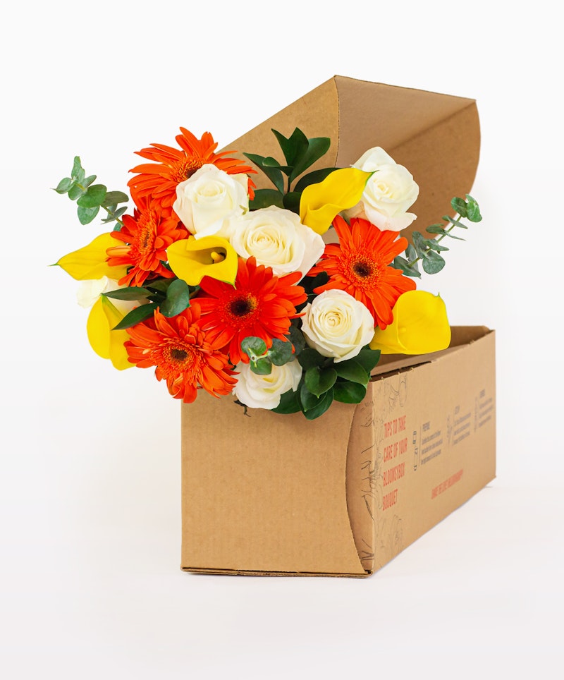 Brightly colored bouquet of orange gerberas, white roses, and yellow lilies spilling from an open cardboard box against a white background, showcasing a flower delivery concept.