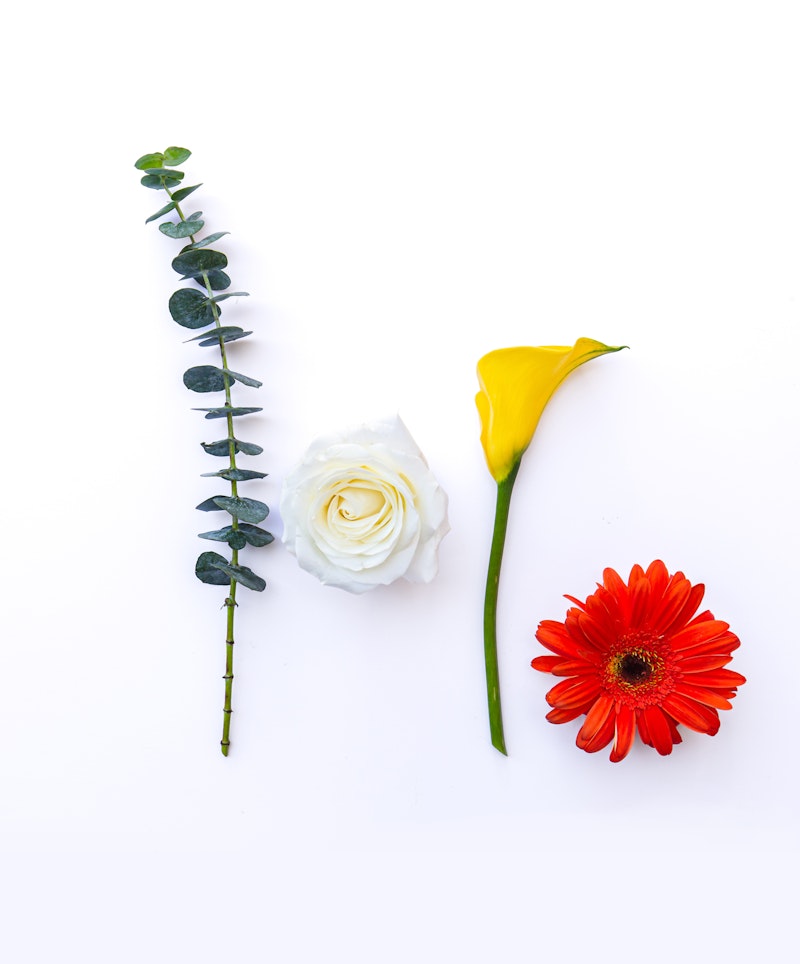 A vibrant flat lay of a trio of flowers: a vertical eucalyptus twig, a delicate white rose, and a bright yellow calla lily alongside a red gerbera on a white background.