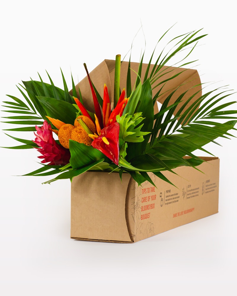 Colorful tropical bouquet with red ginger, orange pods, and lush green leaves artistically arranged in a cardboard box on a white background.