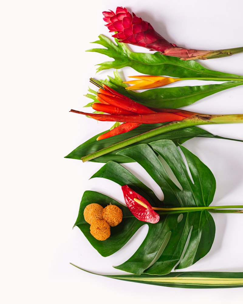 Vibrant tropical flowers and green leaves, including a Bird of Paradise and red ginger flower, arranged diagonally on a white background.